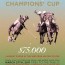 championsflier