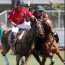 poloaction poloaction
